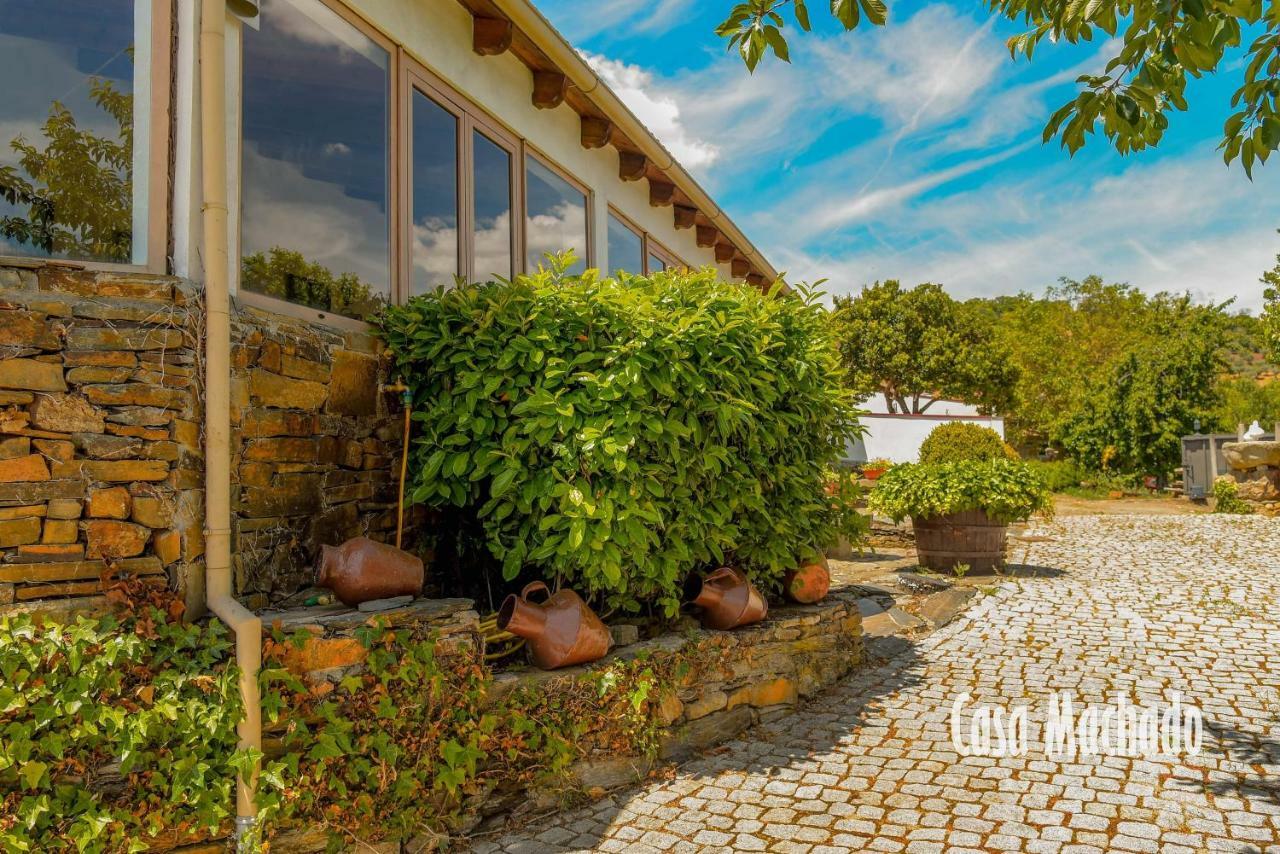 Casa Machado Casa de hóspedes Bragança Exterior foto